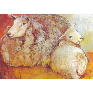 Ansichtkaart Schaap en Lam (Set van 5)