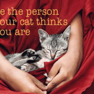 Ansichtkaarten Be the Person Your Cat