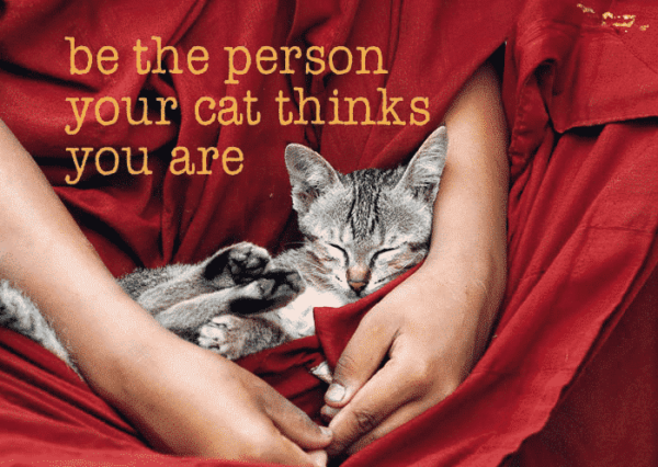 Ansichtkaarten Be the Person Your Cat