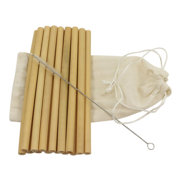 Bamboe Rietjes met Borsteltje (Set van 10)