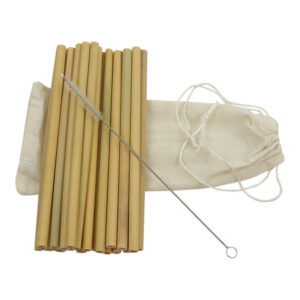 Bamboe Rietjes met Borsteltje (Set van 12)
