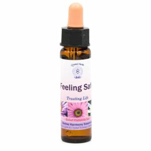 Belief Patterns Essence - Feeling Safe