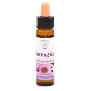 Belief Patterns Essence - Letting Go