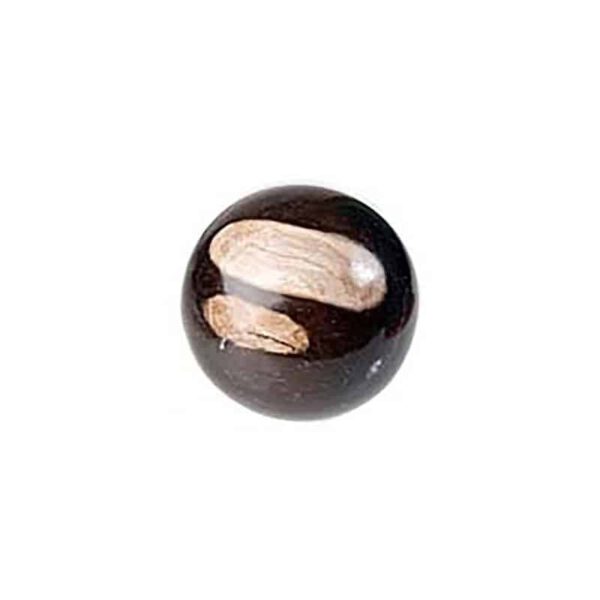 Bol van Edelsteen Fossiel Hout (15 cm)