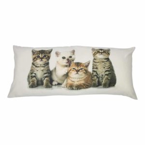 Canvas Kussen 4 Kittens XXL (90 x 40 cm)