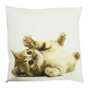 Canvas Kussen Kitten Rood (50 x 50 cm)