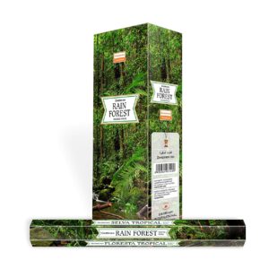 Darshan Wierook Rain Forest (6 pakjes)