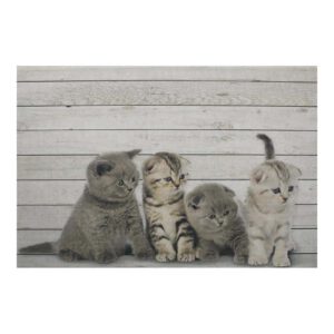 Deurmat 4 Kittens (75 x 50 cm)