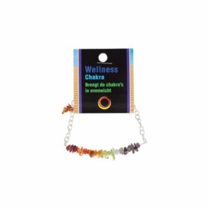 Edelsteen Armband Chakra Bararmband met Uitlegkaart