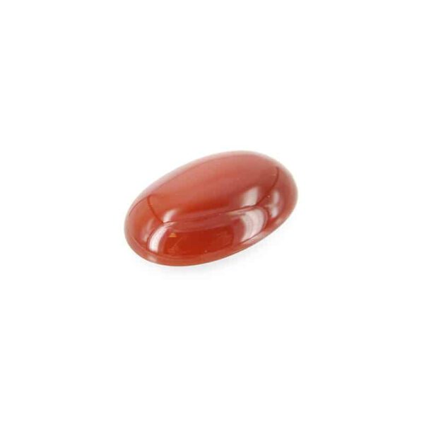 Edelsteen Cabochon Carneool (15 mm)