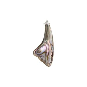 Edelsteen Hanger Abalone Schelp