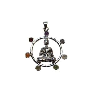 Edelstenen Hanger Chakra Boeddha Rond