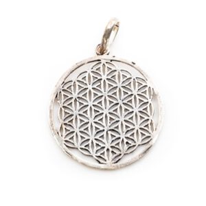 Flower of Life Hanger Messing Zilverkleurig (3 cm)