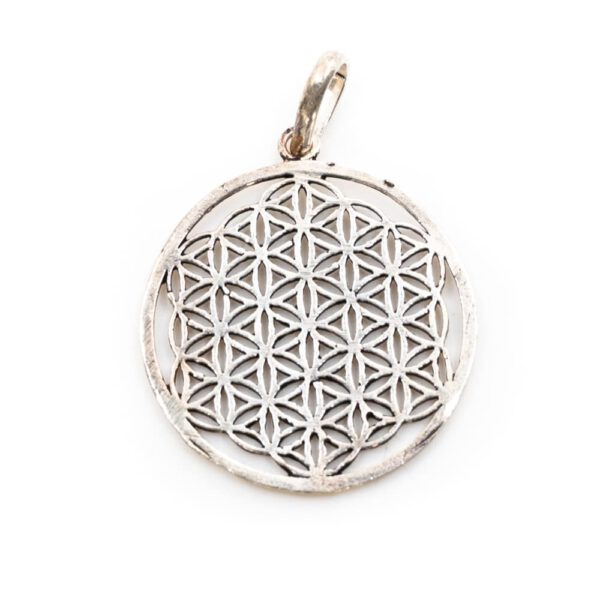 Flower of Life Hanger Messing Zilverkleurig (3 cm)