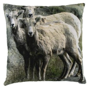 Fluwelen Kussen 3 Schapen (50 x 50 cm)