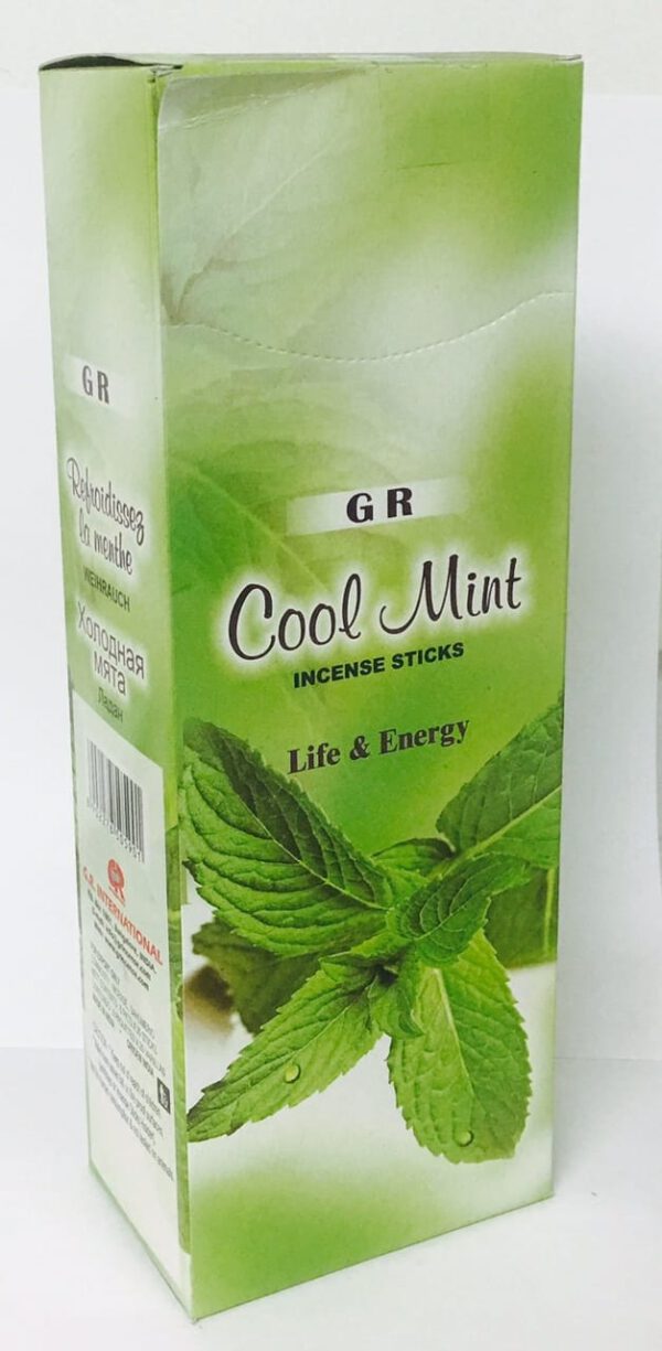 G.R. Wierook Cool Mint (6 pakjes)