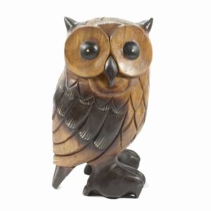 Houten Beeld van Uil (30 cm)