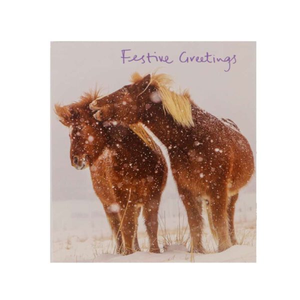 Kerstkaart - Paarden in de Sneeuw (Set van 5)