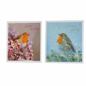 Kerstkaart - Vogels (Set van 10)