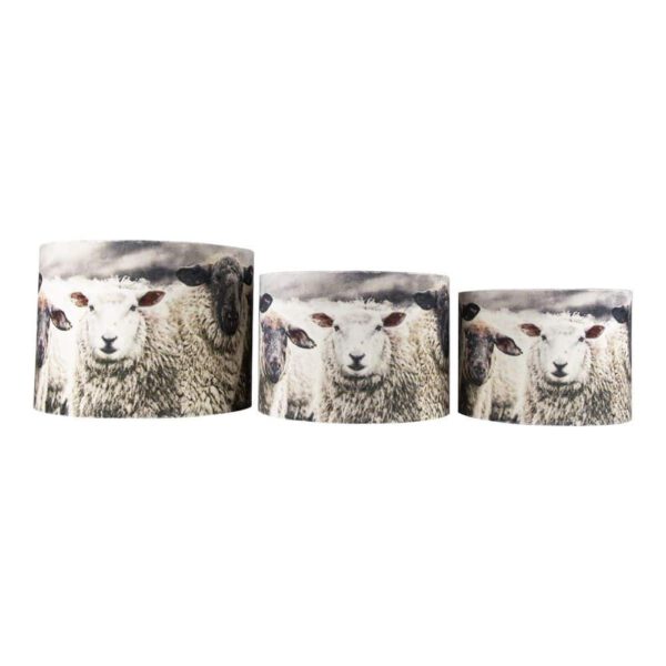 Lampenkappen met Schapen (Set van 3)