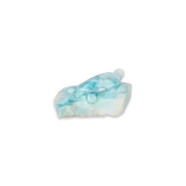 Larimar Schijf Schildpad