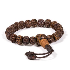 Mala Armband Gepolijste Rudraksha 21 Kralen