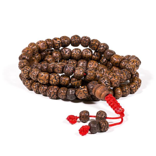 Mala gepolijste Rudraksha 108 Kralen (Model 2)