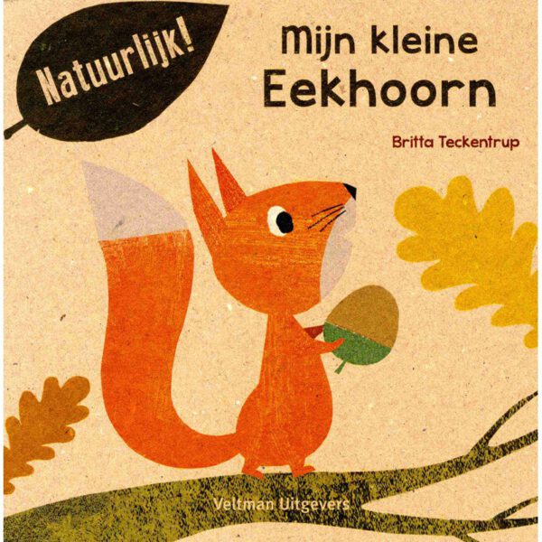 Mijn kleine Eekhoorn