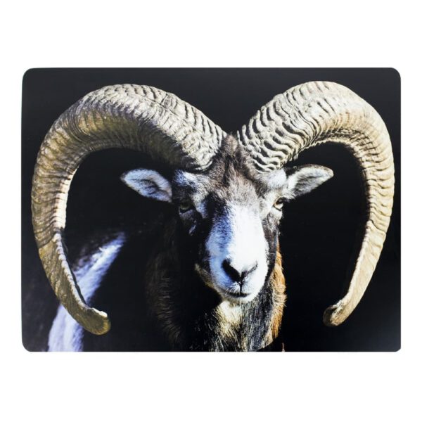 Placemats Ram (Set van 4)