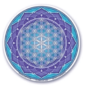 Raamsticker Flower of Life (Blauw-Turquoise)