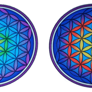 Raamsticker Flower of Life Mandala