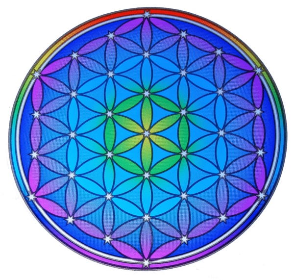 Raamsticker Flower of Life New