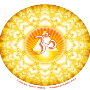 Raamsticker Sahasrara kruinchakra