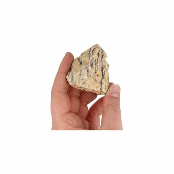 Ruwe Zebradoriet Edelsteen 3-7 cm  (50 - 80 gram)