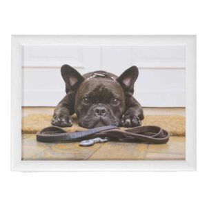 Schootkussen - Laptray - Franse Bulldog (43 x 33 cm)