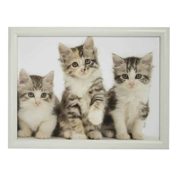 Schootkussen - Laptray - Kittens (43 x 33 cm)