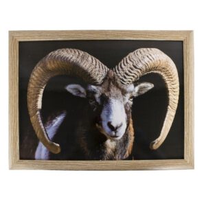 Schootkussen - Laptray - Ram (43 x 33 cm)