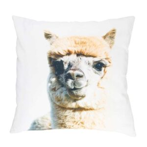 Sierkussen Canvas Baby Alpaca Beige (50 x 50 cm)