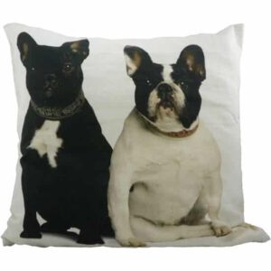 Sierkussen Canvas Franse Buldogs (50 x 50 cm)