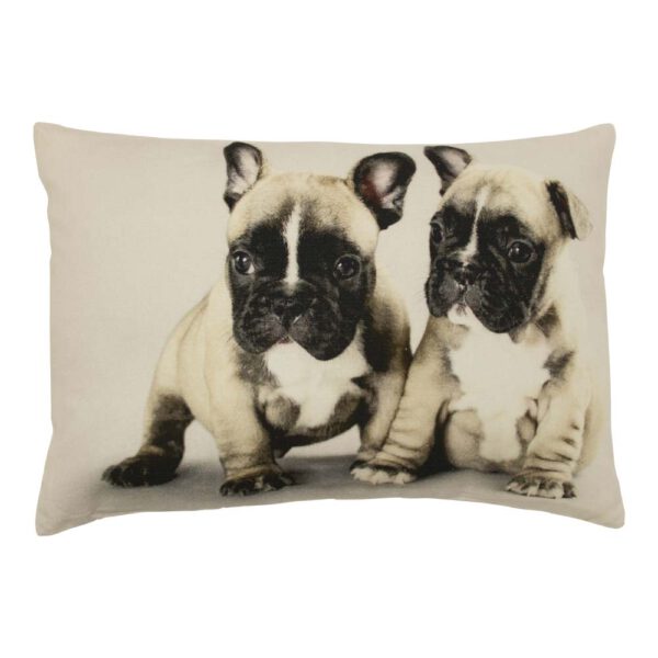 Sierkussen Canvas Franse Bulldogs Puppy&apos;s (50 x 35 cm)