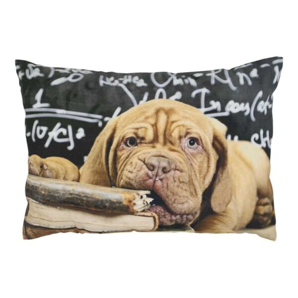 Sierkussen Canvas Humor Bordo Dog (50 x 35 cm)