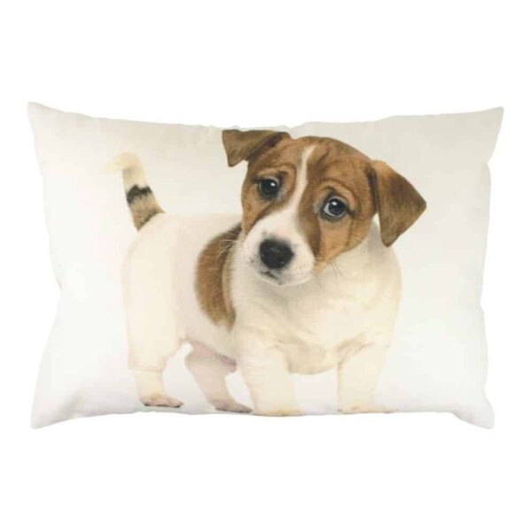 Sierkussen Canvas Jack Russel Puppy (50 x 35 cm)