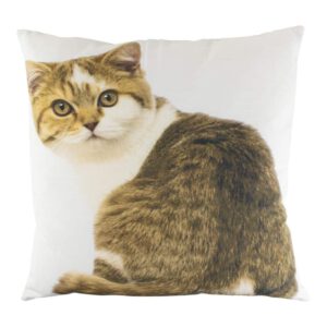 Sierkussen Canvas Kat Tabby Wit Grijs (50 x 50 cm)