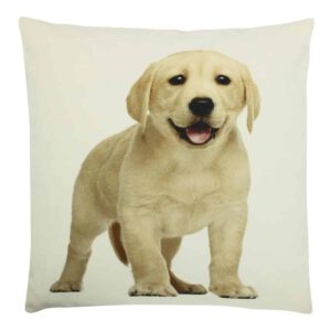 Sierkussen Canvas Labrador Puppy Blond (50 x 50 cm)