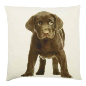 Sierkussen Canvas Labrador Puppy Bruin (50 x 50 cm)