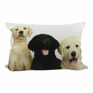 Sierkussen Canvas Labrador Puppy&apos;s (50 x 35 cm)