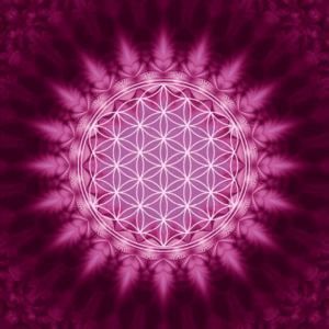 Wenskaart Flower of Life