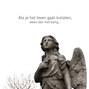 Wenskaart Laatste Levensfase - Beeld Engel (Set van 6)