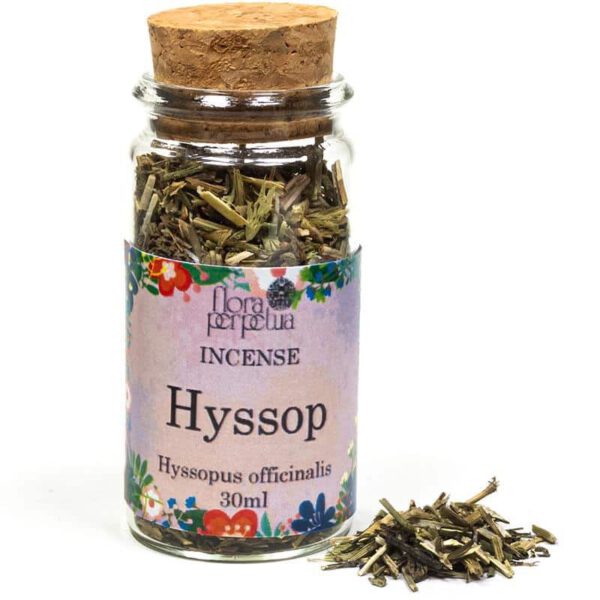 Wierookkruid Hyssop