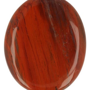 Zaksteen Fossiel Hout Madagaskar